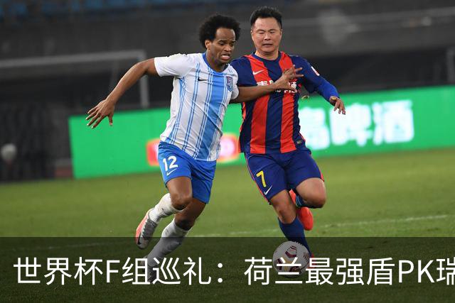 世界杯F组巡礼：荷兰最强盾PK瑞典犀利刀 日本短板明显